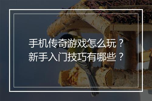 手机传奇游戏怎么玩？新手入门技巧有哪些？