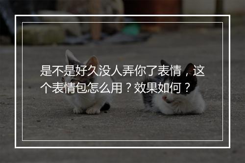 是不是好久没人弄你了表情，这个表情包怎么用？效果如何？