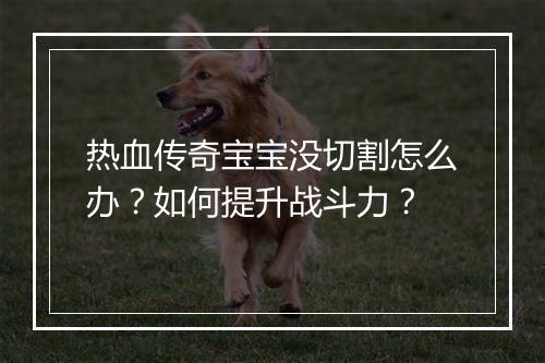 热血传奇宝宝没切割怎么办？如何提升战斗力？