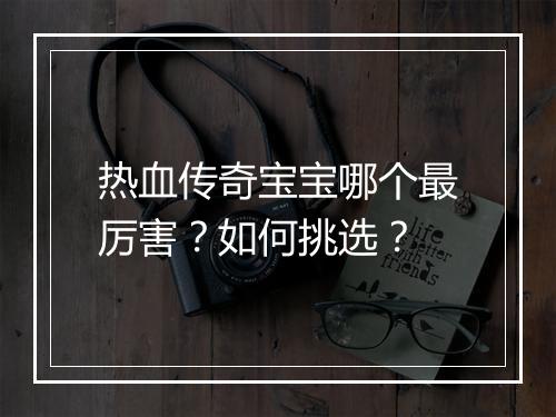 热血传奇宝宝哪个最厉害？如何挑选？