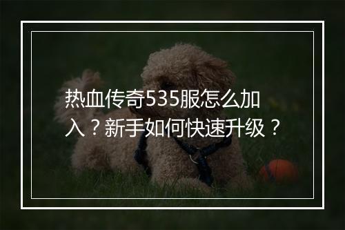 热血传奇535服怎么加入？新手如何快速升级？