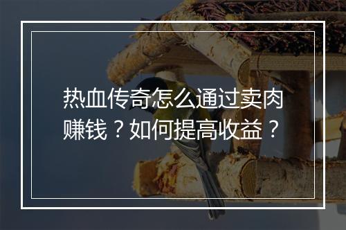 热血传奇怎么通过卖肉赚钱？如何提高收益？