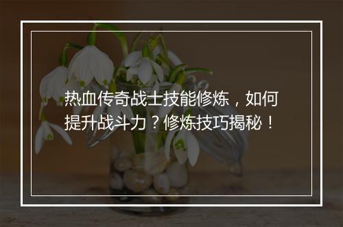 热血传奇战士技能修炼，如何提升战斗力？修炼技巧揭秘！