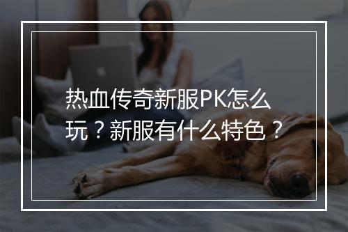 热血传奇新服PK怎么玩？新服有什么特色？