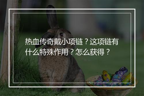 热血传奇戴小项链？这项链有什么特殊作用？怎么获得？