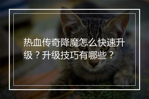 热血传奇降魔怎么快速升级？升级技巧有哪些？