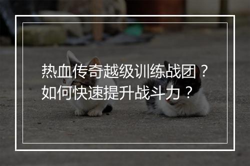 热血传奇越级训练战团？如何快速提升战斗力？