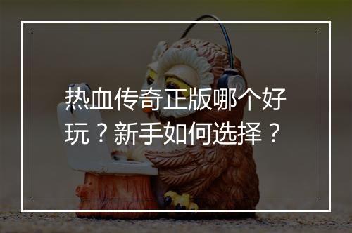热血传奇正版哪个好玩？新手如何选择？