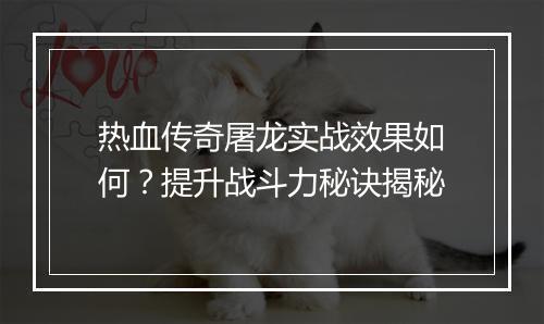 热血传奇屠龙实战效果如何？提升战斗力秘诀揭秘