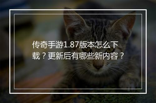 传奇手游1.87版本怎么下载？更新后有哪些新内容？