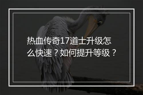 热血传奇17道士升级怎么快速？如何提升等级？