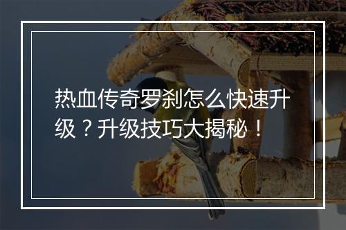 热血传奇罗刹怎么快速升级？升级技巧大揭秘！