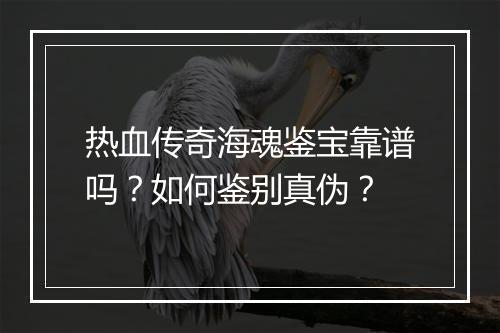 热血传奇海魂鉴宝靠谱吗？如何鉴别真伪？