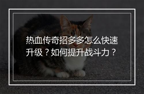 热血传奇招多多怎么快速升级？如何提升战斗力？