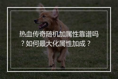 热血传奇随机加属性靠谱吗？如何最大化属性加成？
