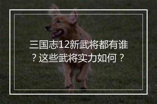 三国志12新武将都有谁？这些武将实力如何？