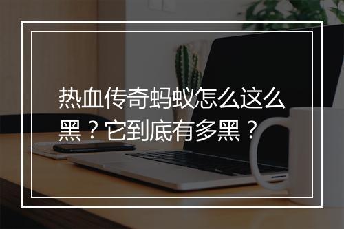 热血传奇蚂蚁怎么这么黑？它到底有多黑？