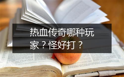 热血传奇哪种玩家？怪好打？