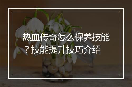 热血传奇怎么保养技能？技能提升技巧介绍