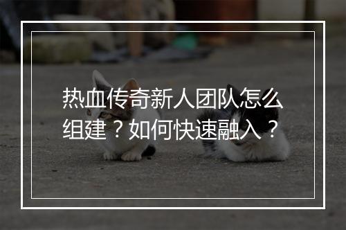 热血传奇新人团队怎么组建？如何快速融入？