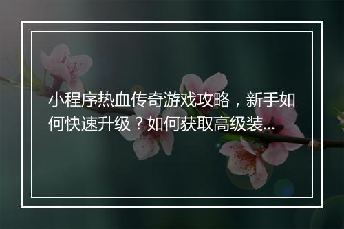 小程序热血传奇游戏攻略，新手如何快速升级？如何获取高级装备？