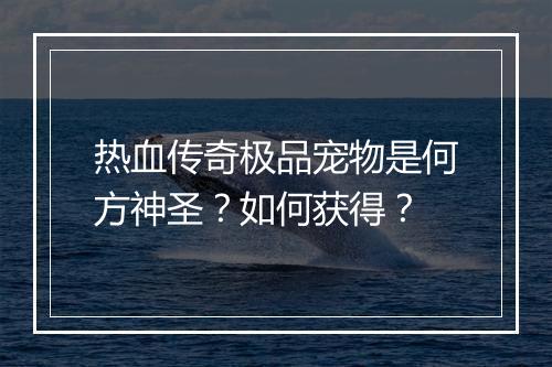 热血传奇极品宠物是何方神圣？如何获得？