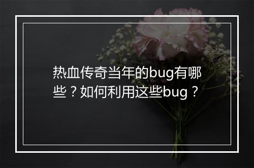 热血传奇当年的bug有哪些？如何利用这些bug？