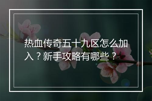 热血传奇五十九区怎么加入？新手攻略有哪些？