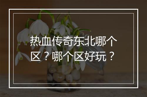热血传奇东北哪个区？哪个区好玩？