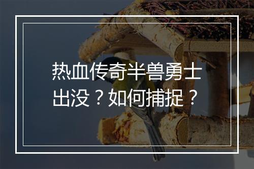 热血传奇半兽勇士出没？如何捕捉？