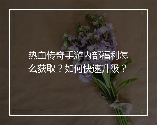 热血传奇手游内部福利怎么获取？如何快速升级？