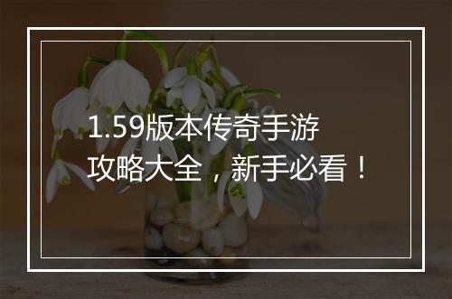1.59版本传奇手游攻略大全，新手必看！