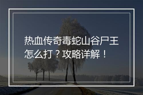 热血传奇毒蛇山谷尸王怎么打？攻略详解！