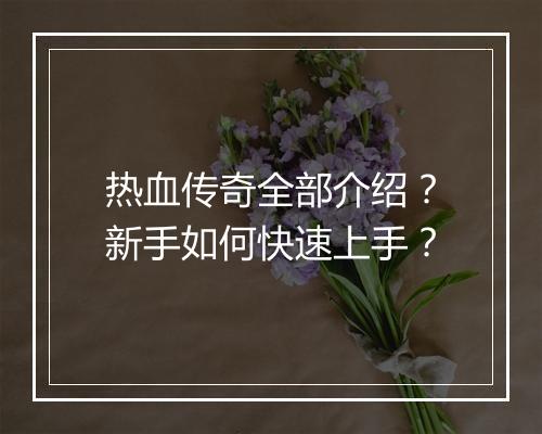 热血传奇全部介绍？新手如何快速上手？