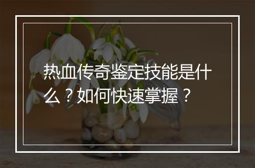 热血传奇鉴定技能是什么？如何快速掌握？