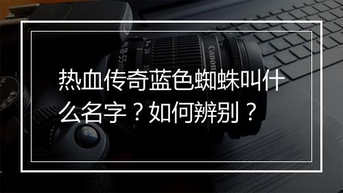 热血传奇蓝色蜘蛛叫什么名字？如何辨别？