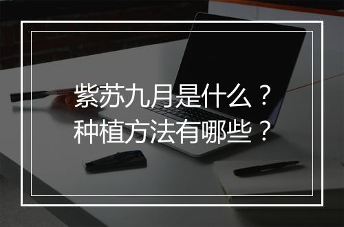 紫苏九月是什么？种植方法有哪些？