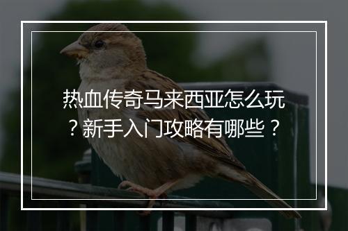 热血传奇马来西亚怎么玩？新手入门攻略有哪些？