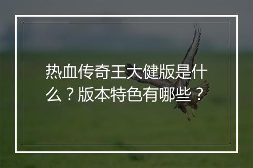 热血传奇王大健版是什么？版本特色有哪些？