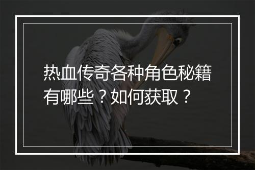 热血传奇各种角色秘籍有哪些？如何获取？