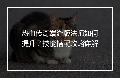 热血传奇端游版法师如何提升？技能搭配攻略详解
