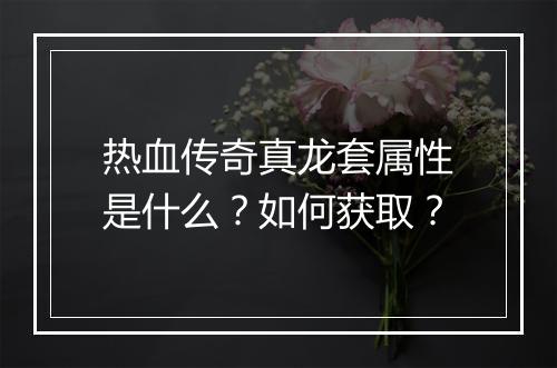 热血传奇真龙套属性是什么？如何获取？