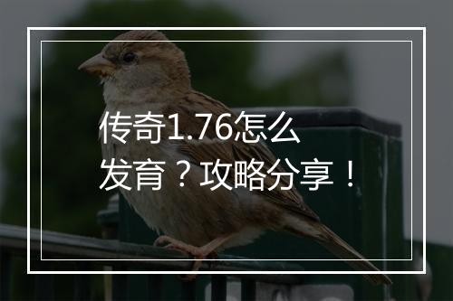 传奇1.76怎么发育？攻略分享！