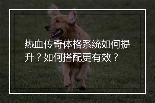 热血传奇体格系统如何提升？如何搭配更有效？