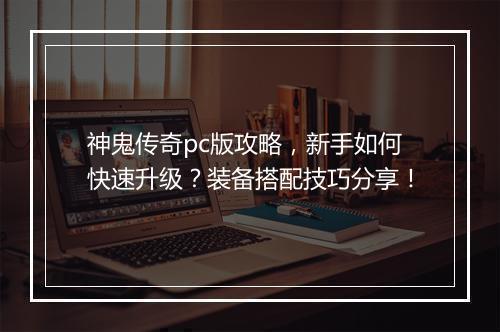 神鬼传奇pc版攻略，新手如何快速升级？装备搭配技巧分享！
