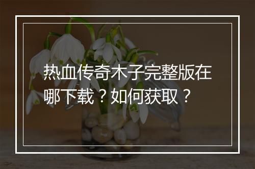 热血传奇木子完整版在哪下载？如何获取？