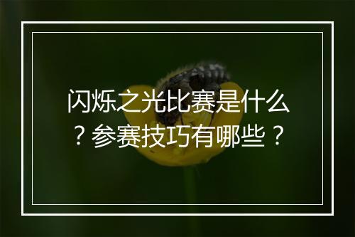 闪烁之光比赛是什么？参赛技巧有哪些？
