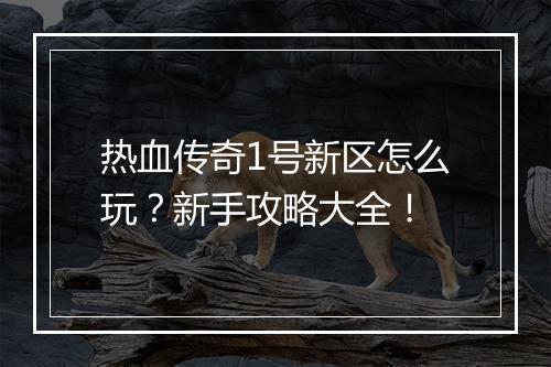 热血传奇1号新区怎么玩？新手攻略大全！