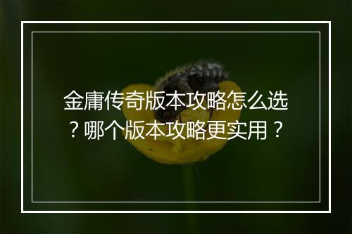 金庸传奇版本攻略怎么选？哪个版本攻略更实用？