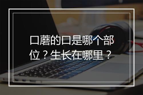 口蘑的口是哪个部位？生长在哪里？